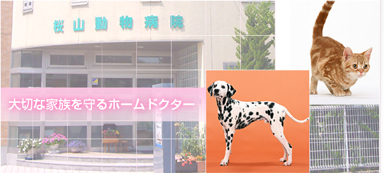 HOME �����a�@ ���É��s ���a��