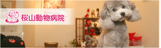 診療内容 動物病院 名古屋市 昭和区