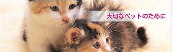 ペットの健康管理&豆知識 ペット 動物病院 名古屋市