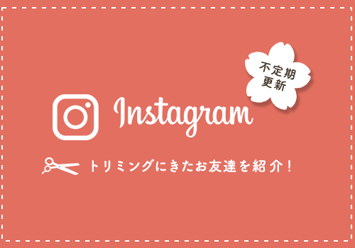 Instagram 不定期更新