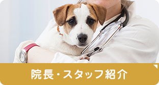院長・スタッフ紹介へリンク