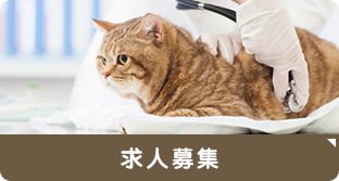 求人募集へリンク